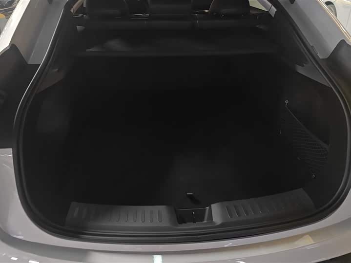Baojun Xiangjing 2025 2025款 插混 140km专车版