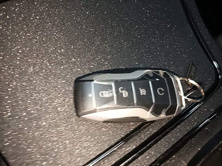 BYD Han 2020 2020款 DM 四驱性能版豪华型