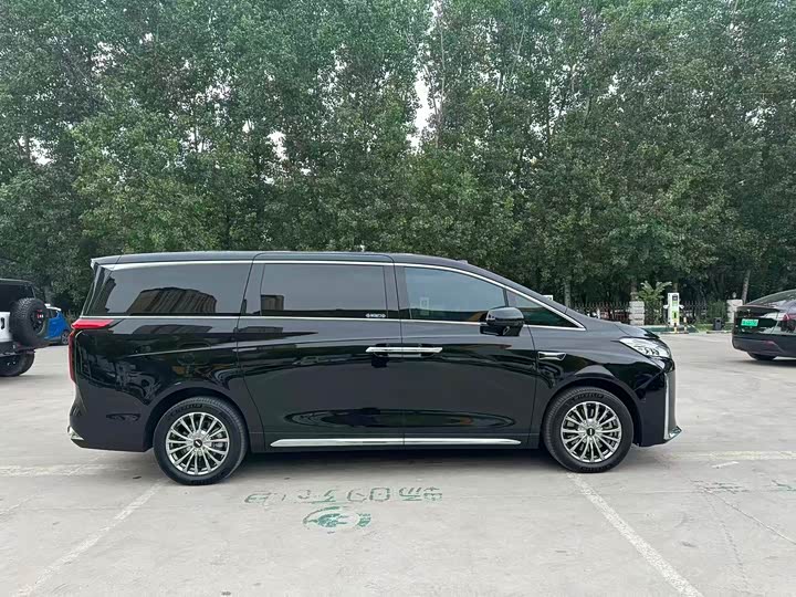 Wey Gaoshan 2025 2025款 四驱高山8