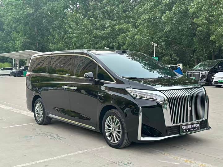 Wey Gaoshan 2025 2025款 四驱高山8