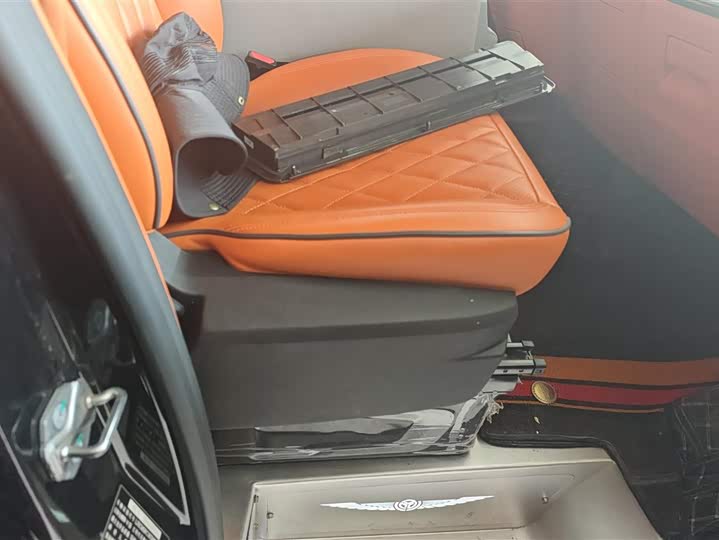 Ford Tourneo 2024 2024款 2.0T 自动致尊Plus版