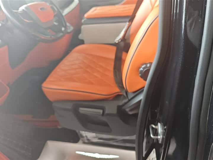 Ford Tourneo 2024 2024款 2.0T 自动致尊Plus版