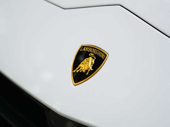 Lamborghini Urus 2023 2023款 4.0T V8 S