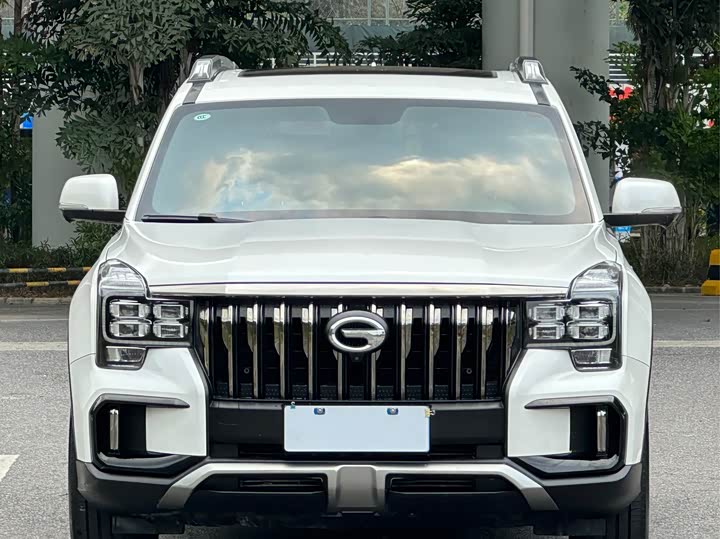 GAC Trumpchi GS8 2020 2020款 GS8S 390T 两驱豪华智联版