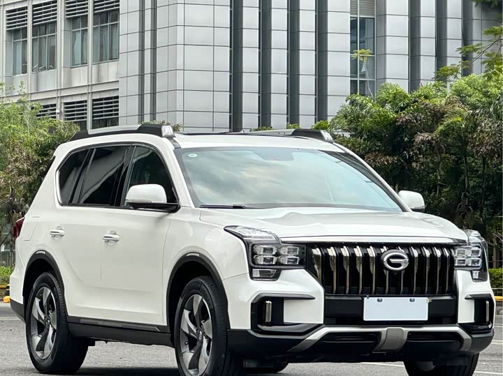 GAC Trumpchi GS8 2020 2020款 GS8S 390T 两驱豪华智联版