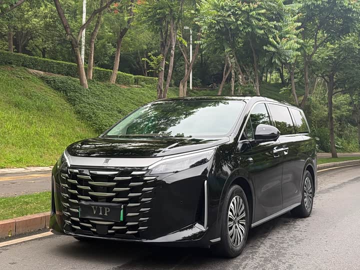 BYD Xia 2025 2025款 DM-i 1.5T 100km 超越型