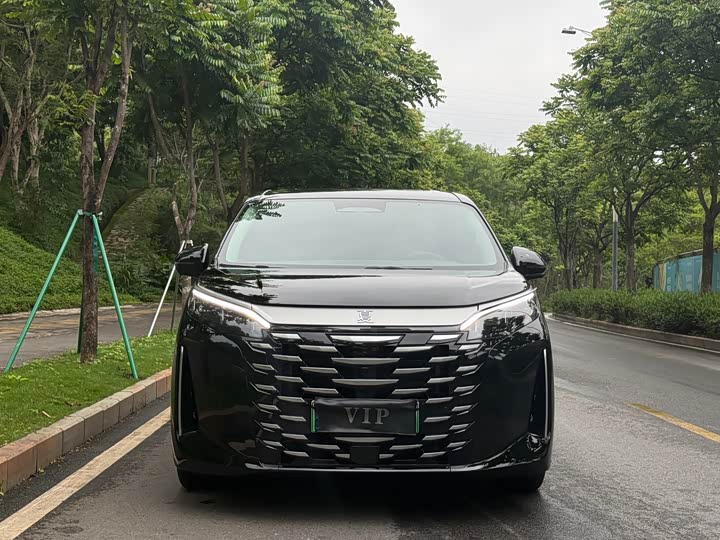 BYD Xia 2025 2025款 DM-i 1.5T 100km 超越型