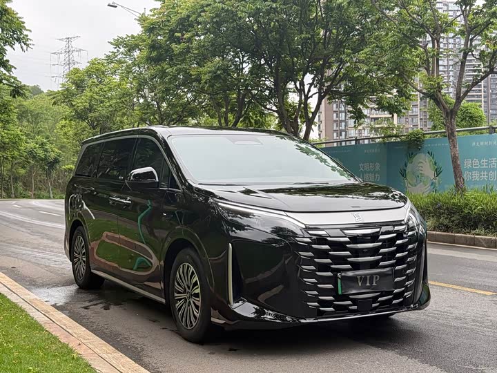 BYD Xia 2025 2025款 DM-i 1.5T 100km 超越型
