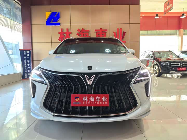 2024 Dongfeng Forthing Yacht