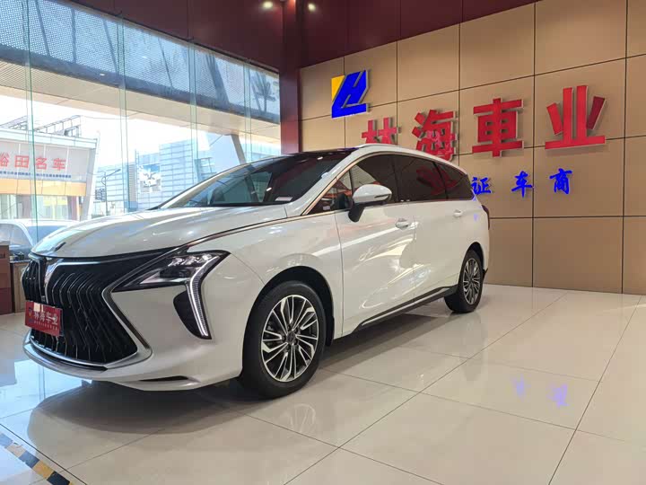 2024 Dongfeng Forthing Yacht