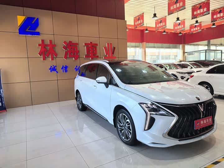 2024 Dongfeng Forthing Yacht