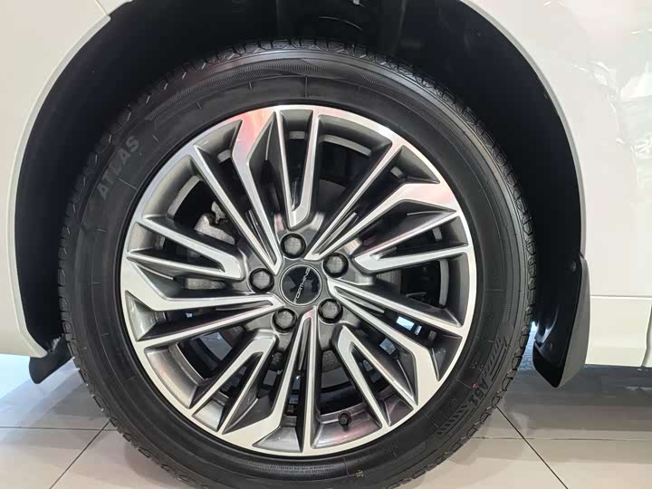 2024 Dongfeng Forthing Yacht