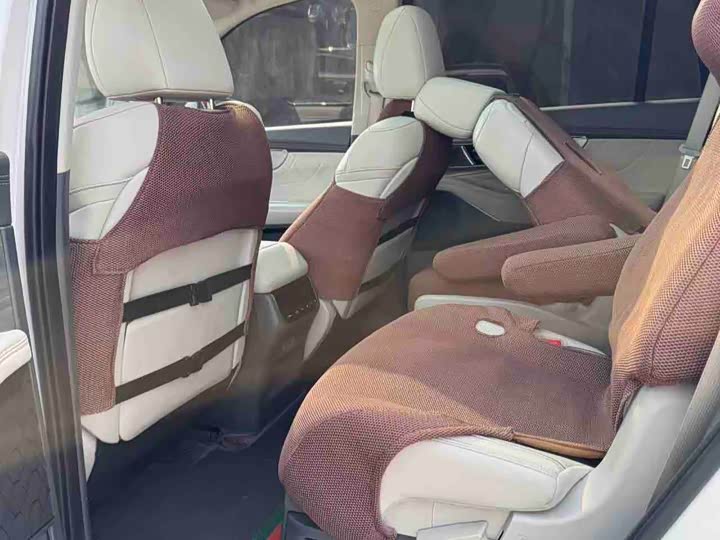 GAC Trumpchi GS8 2022 2022款 双擎系列 2.0TM 四驱尊贵版 （六座）