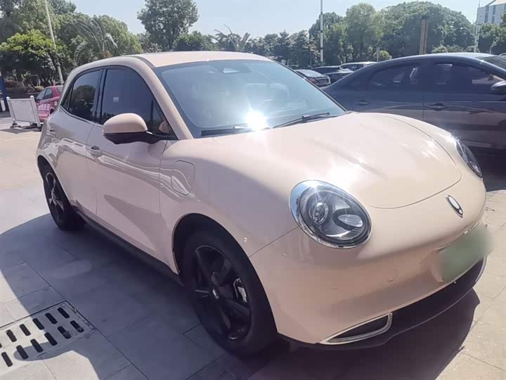 Ora Good Cat (03) 2024 2024款 401km 豪华型