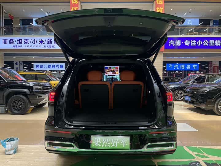 Geely Galaxy M9 2025 2025款 210km 四驱领航版
