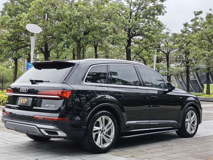 Audi Q7 2024 2024款 45 TFSI quattro S line运动型
