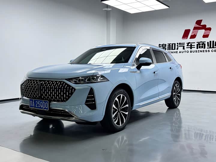 Wey Mocha 2021 2021款 2.0T 两驱特浓版