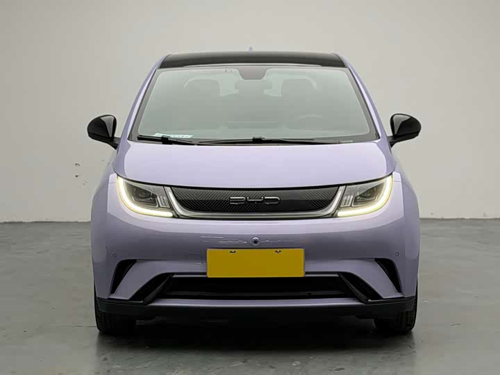 Фото 2 - BYD Dolphin