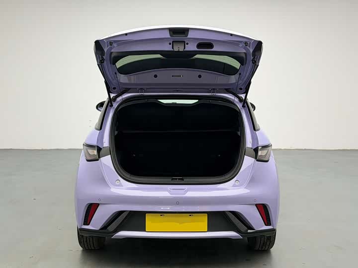 Фото 6 - BYD Dolphin