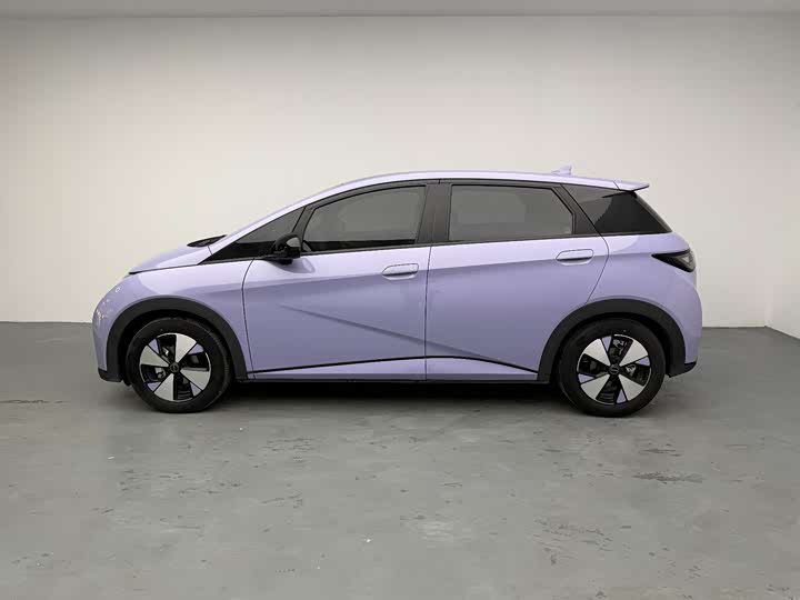 Фото 8 - BYD Dolphin
