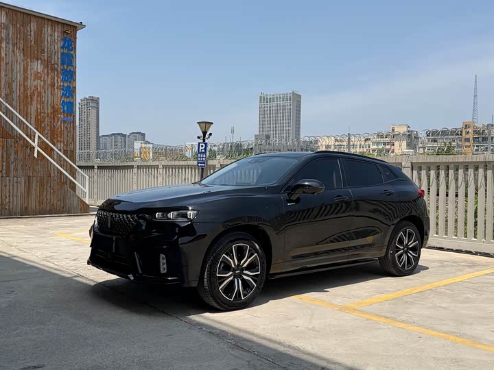 Wey VV7 Hybrid 2020 2020款 PHEV 2.0T 旗舰型