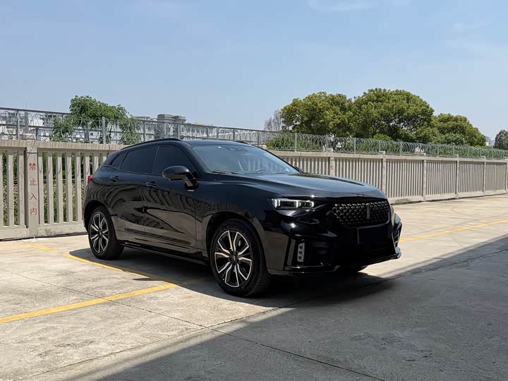 Wey VV7 Hybrid 2020 2020款 PHEV 2.0T 旗舰型