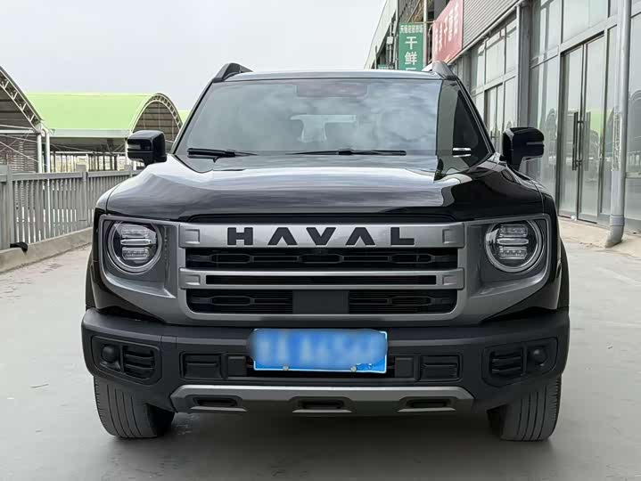 Zdjęcie 2 - Haval Dargo