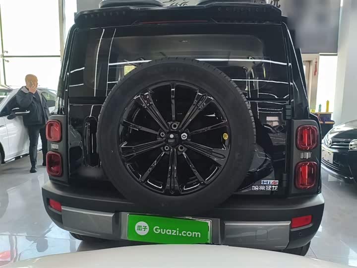 Haval Raptor Hybrid 2024 2024款 Hi4 145 穿越版