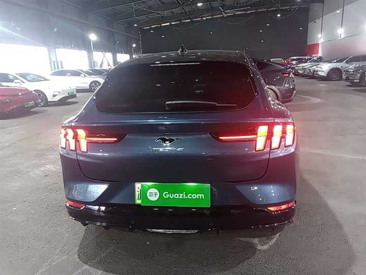 Ford Mustang Mach-E 2021 2021款 无疆后驱豪华版(长续航)