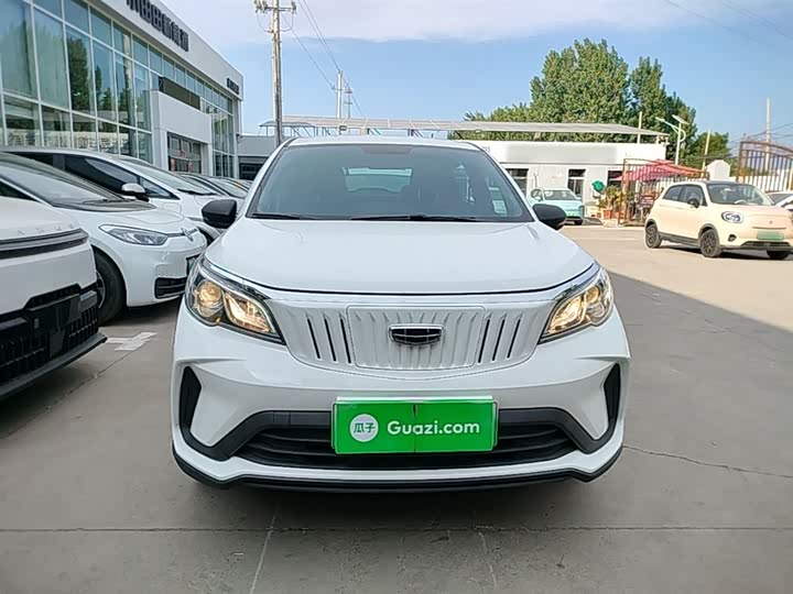 Geely Geometry EX3 2021 2021款 坚强牛牛
