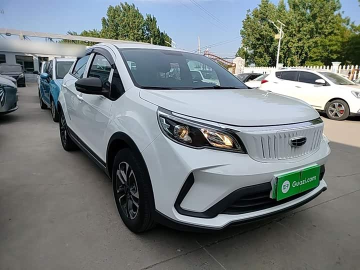 Geely Geometry EX3 2021 2021款 坚强牛牛