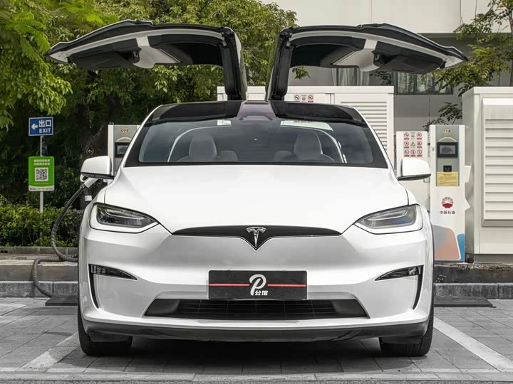 Фото 2 - Tesla Model X