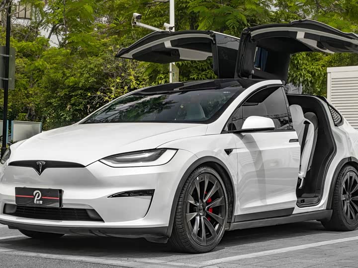 Фото 3 - Tesla Model X