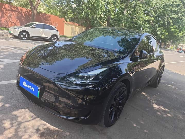 Tesla Model Y 2024 2024款 后轮驱动版