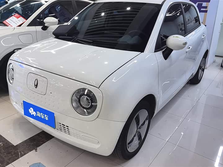 Ora Black Cat 2022 2022款 301km 基础型 三元锂