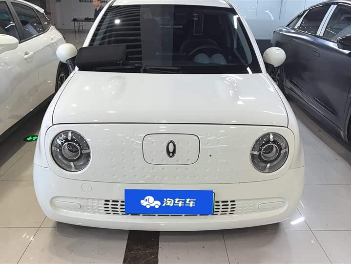 Ora Black Cat 2022 2022款 301km 基础型 三元锂