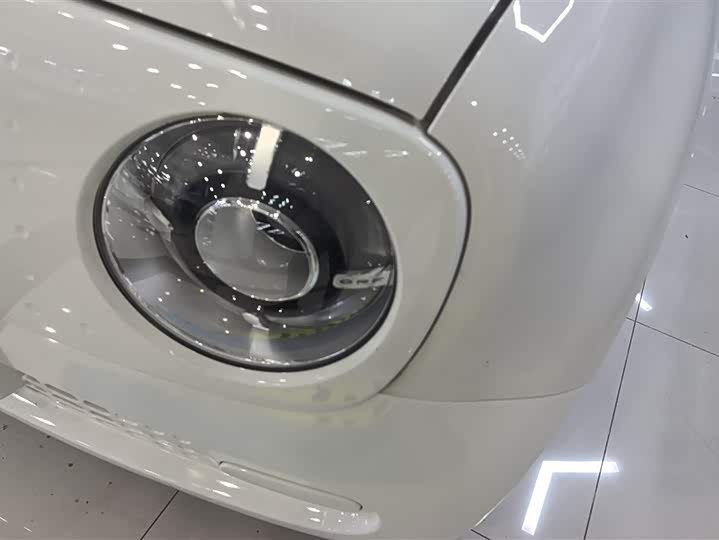 Ora Black Cat 2022 2022款 301km 基础型 三元锂