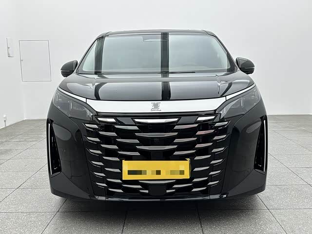 BYD Xia 2025 2025款 DM-i 1.5T 180km 卓越型