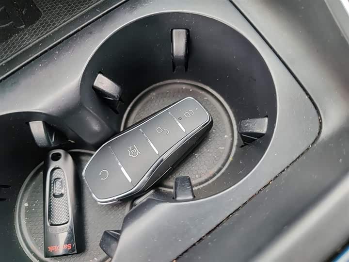 BYD Qin Plus 2021 2021款 EV 500KM 豪华型