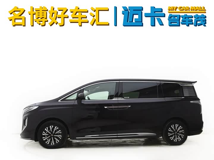 Hongqi HQ9 2024 2024款 2.0T 豪华版