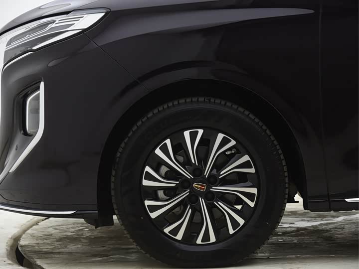 Hongqi HQ9 2024 2024款 2.0T 豪华版