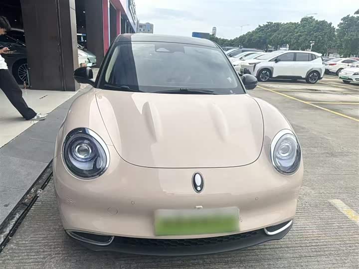 Ora Good Cat (03) 2023 2023款 401km标准续航 尊贵型 磷酸铁锂
