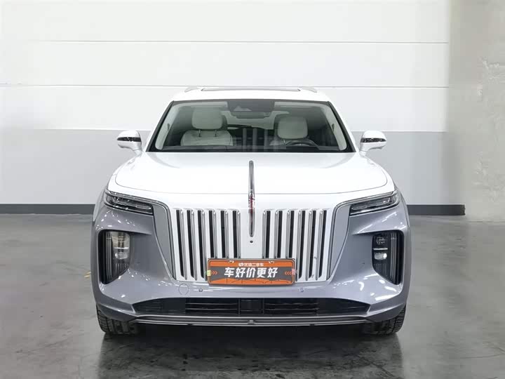 Фото 3 - Hongqi E-HS9