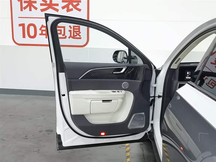 Фото 8 - Hongqi E-HS9