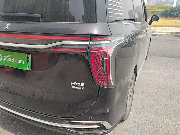 Hongqi HQ9 Hybrid 2024 2024款 2.0T 四驱商务版