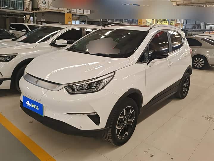 BYD Yuan Pro 2023 2023款 401KM尊贵型
