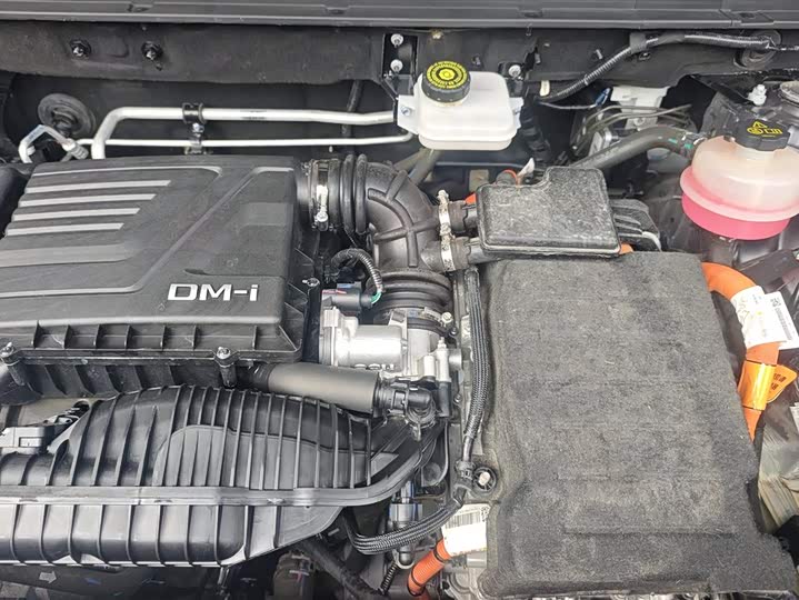 BYD Song Pro Hybrid 2022 2022款 DM-i 110km 旗舰型Pro