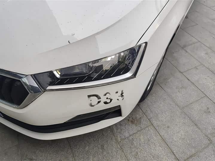 2019 Skoda Rapid