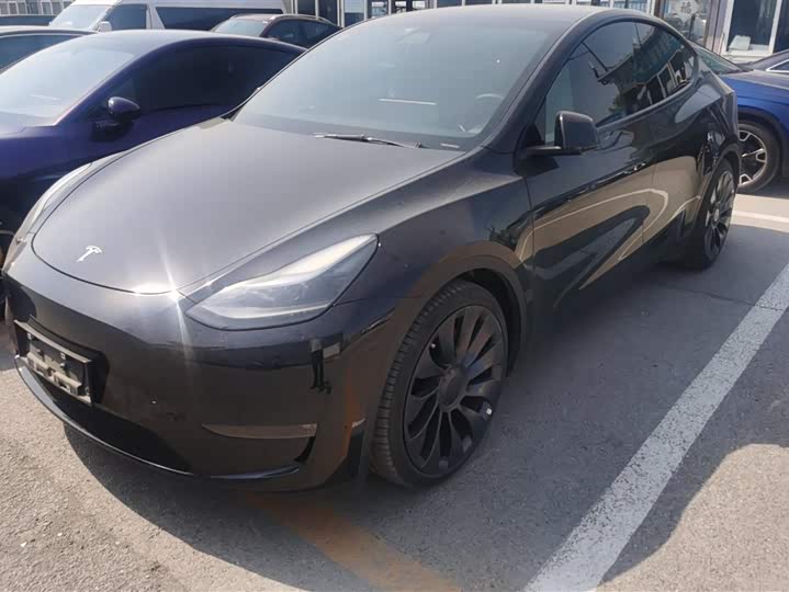 Tesla Model Y 2022 2022款 Performance高性能全轮驱动版