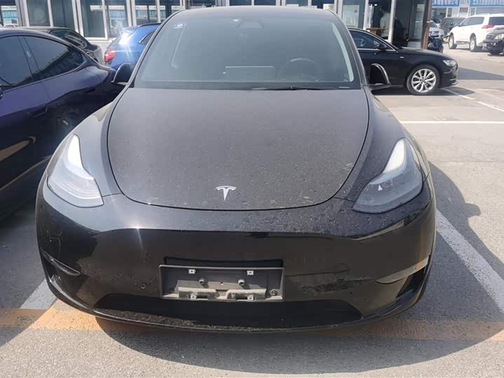 Tesla Model Y 2022 2022款 Performance高性能全轮驱动版